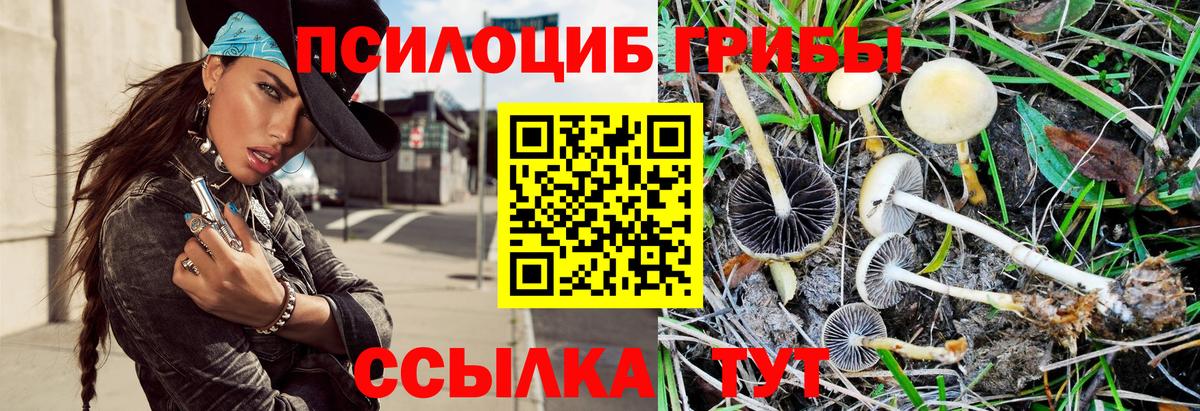 Псилоцибиновые грибы GOLDEN TEACHER  Вход с VPN  Сегежа 