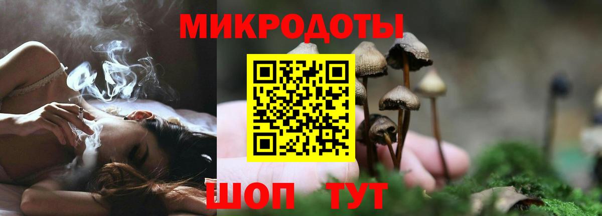 Галлюциногенные грибы Magic Shrooms Сегежа